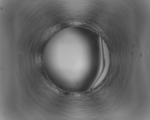 X0000073730330200608171235