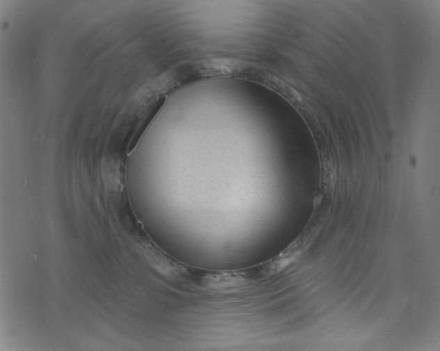 X0000073730331200608171235