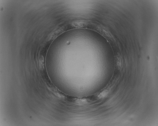 X0000073730332200608171235