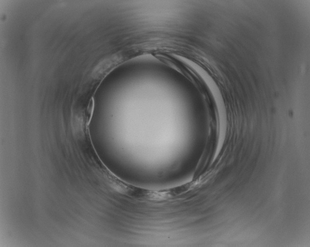 X0000073730333200608171235