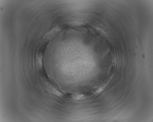 X0000073730334200608171235