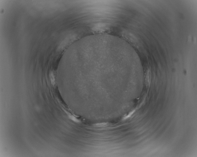 X0000073730335200608171235