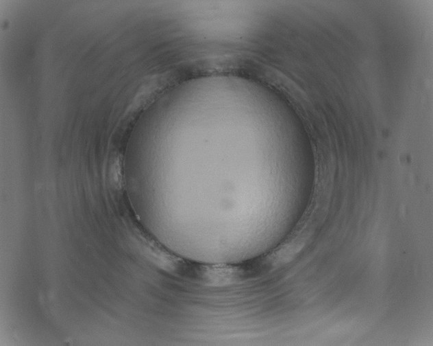 X0000073730336200608171235