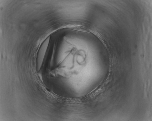 X0000073730337200608171234