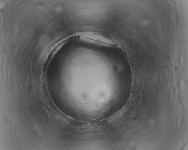 X0000073730338200608171234