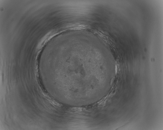 X0000073730339200608171234