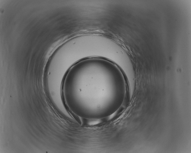 X0000073730340200608171234