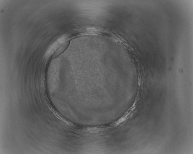 X0000073730341200608171234