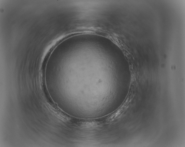 X0000073730342200608171234