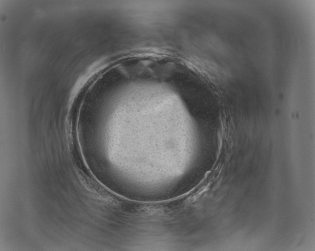 X0000073730343200608171234