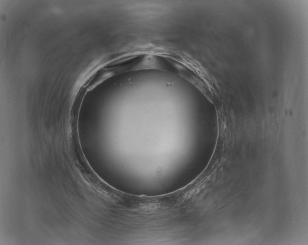 X0000073730344200608171234