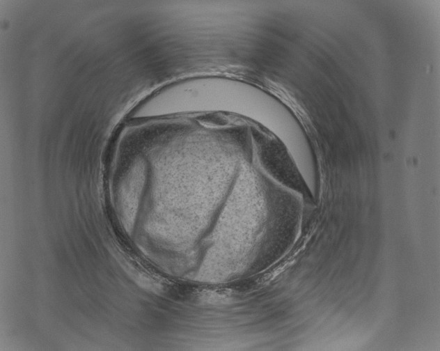 X0000073730346200608171234