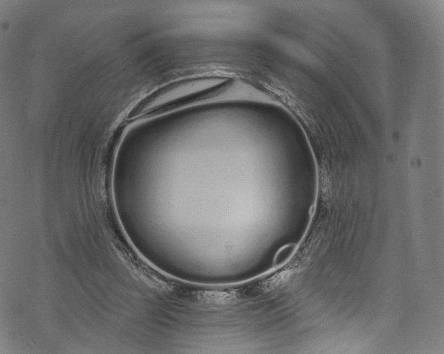 X0000073730347200608171234