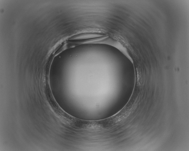 X0000073730348200608171234