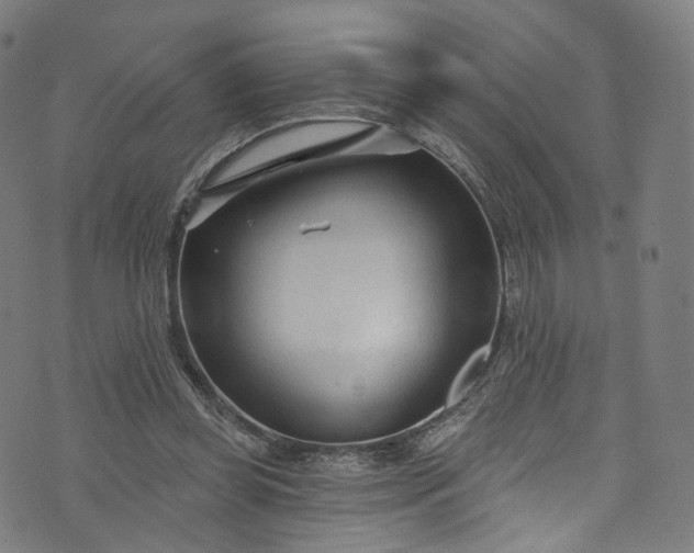 X0000073730349200608171234