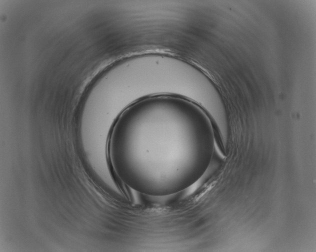 X0000073730350200608171234