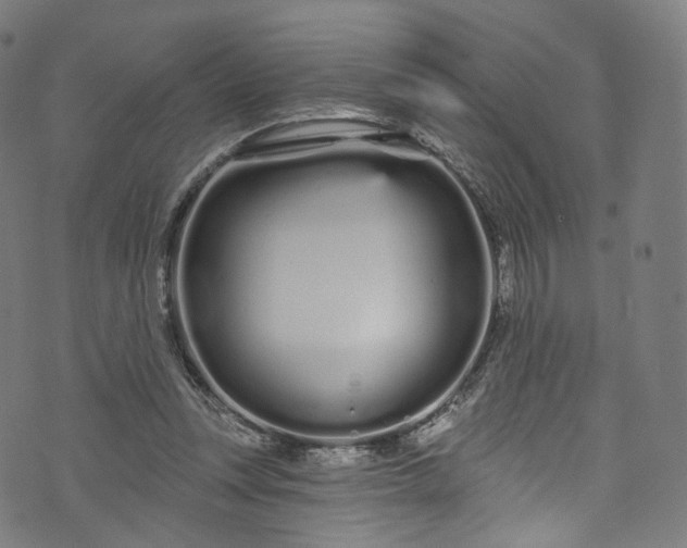 X0000073730351200608171234