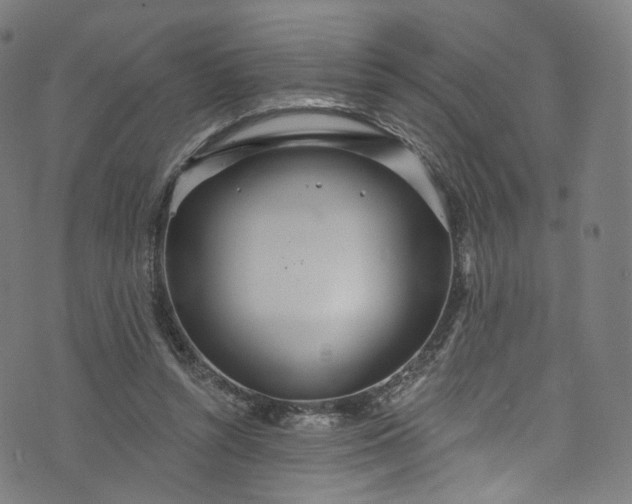 X0000073730352200608171234