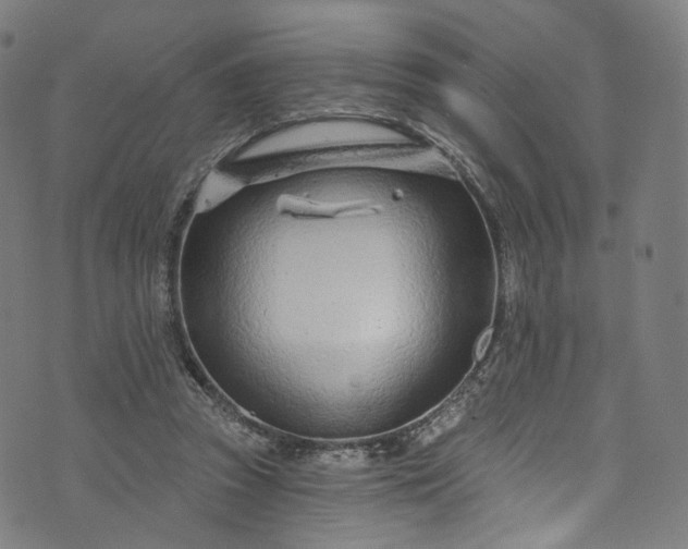 X0000073730353200608171234