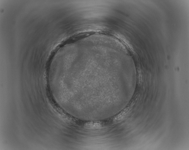 X0000073730354200608171234