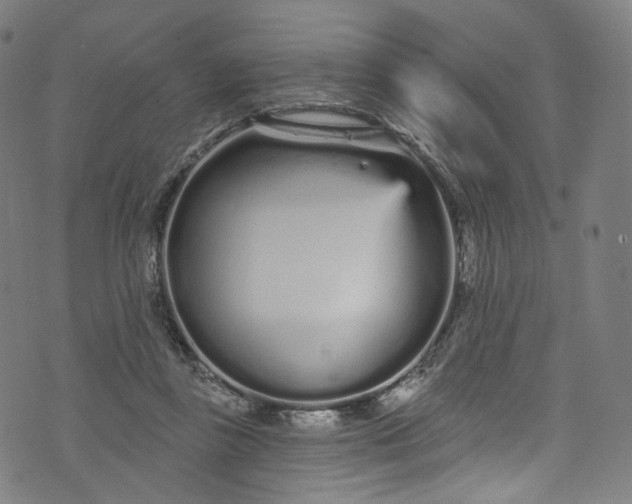 X0000073730355200608171234