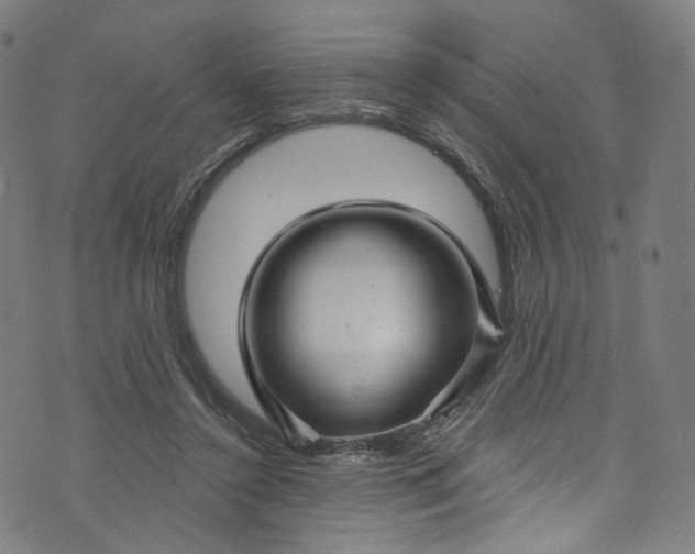 X0000073730356200608171234