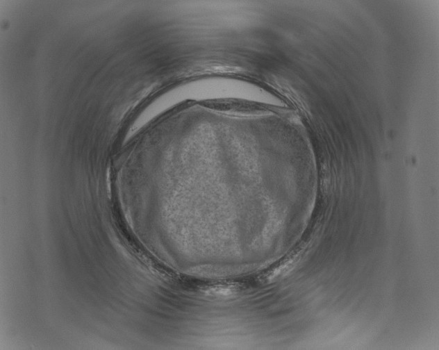 X0000073730358200608171234