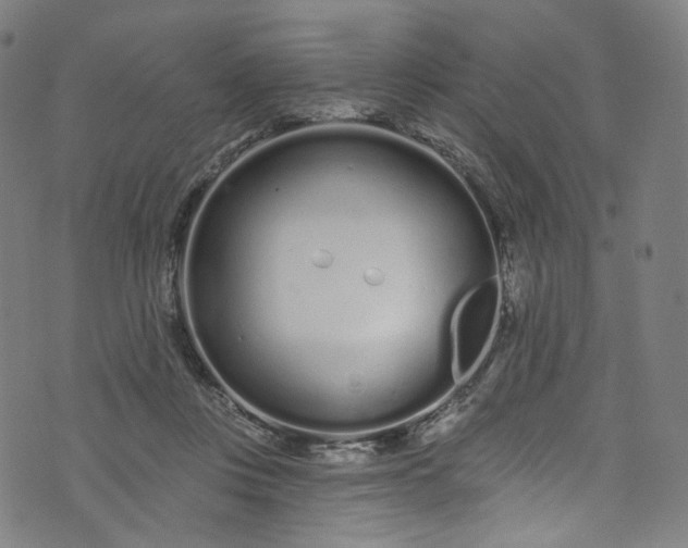 X0000073730359200608171234