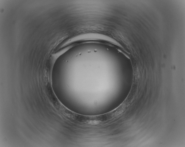 X0000073730360200608171234