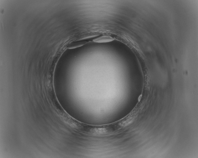 X0000073730361200608171234