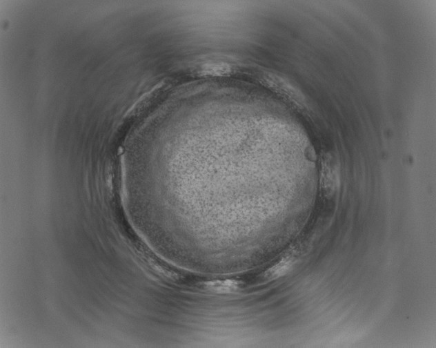 X0000073730363200608171234