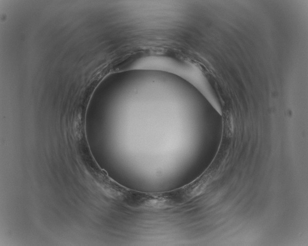 X0000073730364200608171235