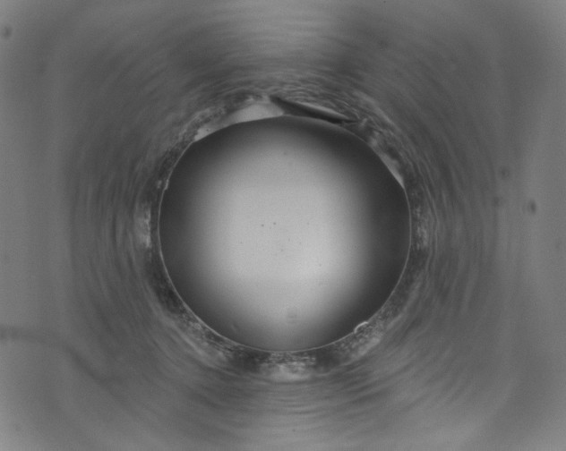 X0000073730368200608171235