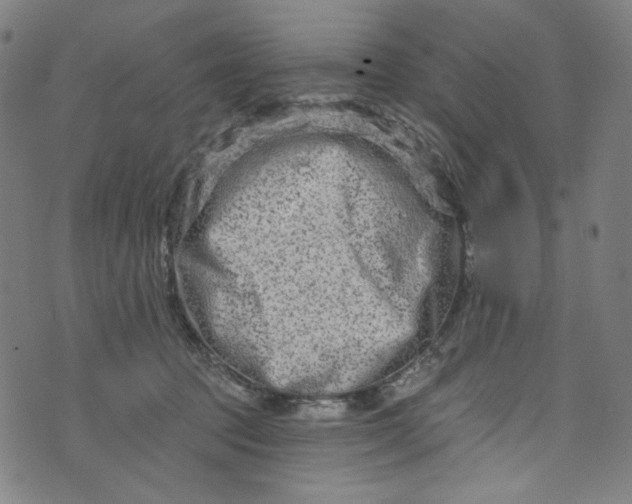 X0000073730369200608171235