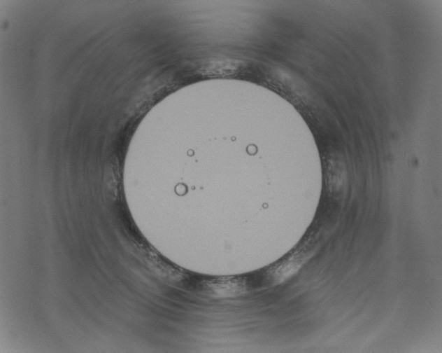 X0000073730370200608171235