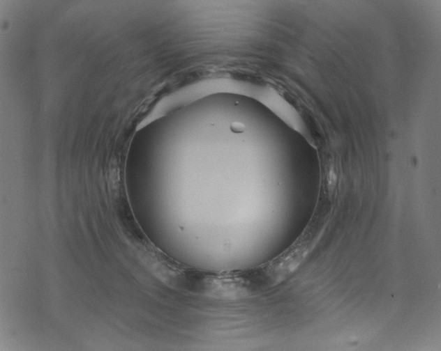 X0000073730372200608171235