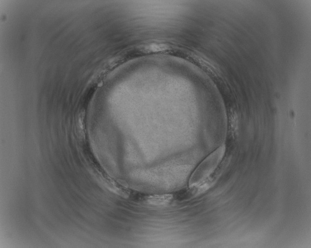 X0000073730373200608171235