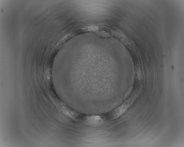 X0000073730374200608171235