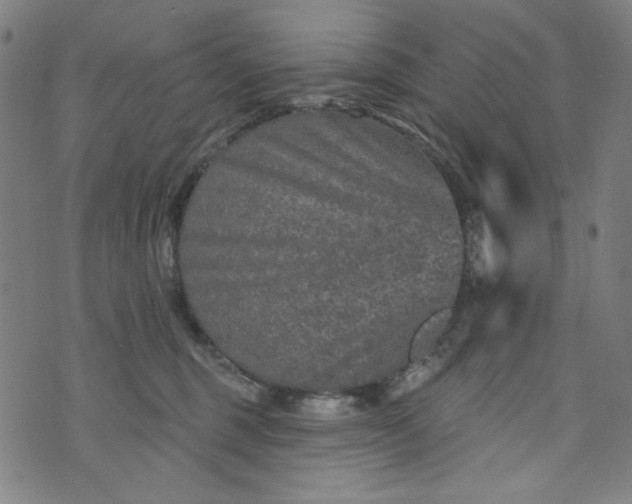 X0000073730375200608171235