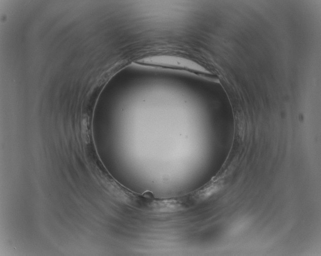 X0000073730378200608171235