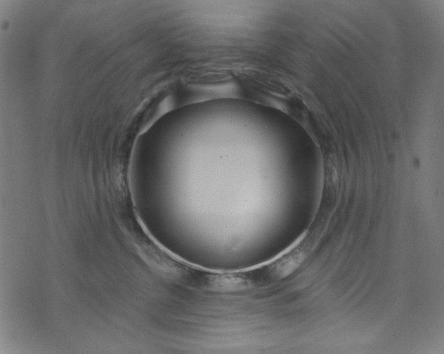 X0000073730380200608171235