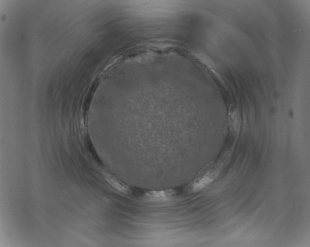 X0000073730381200608171235