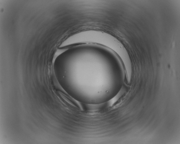 X0000073730382200608171235