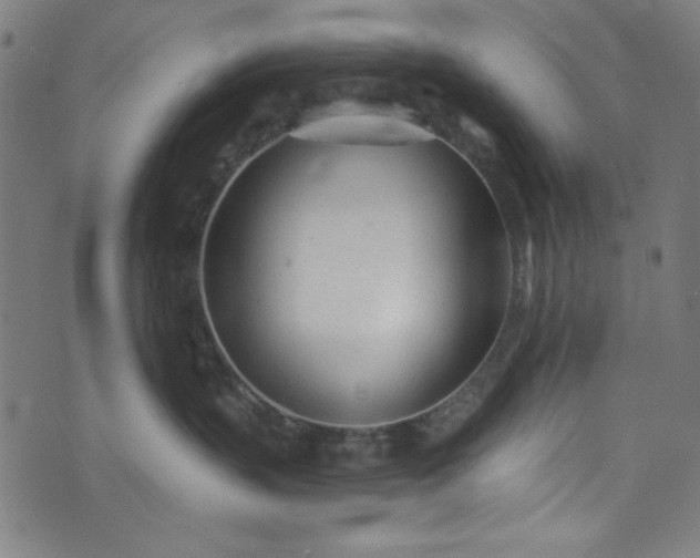 X0000073730383200608171235