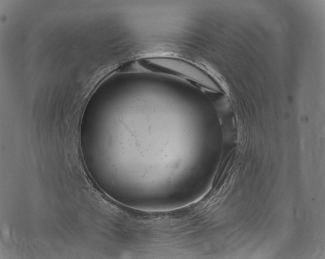 X0000073730385200608171234