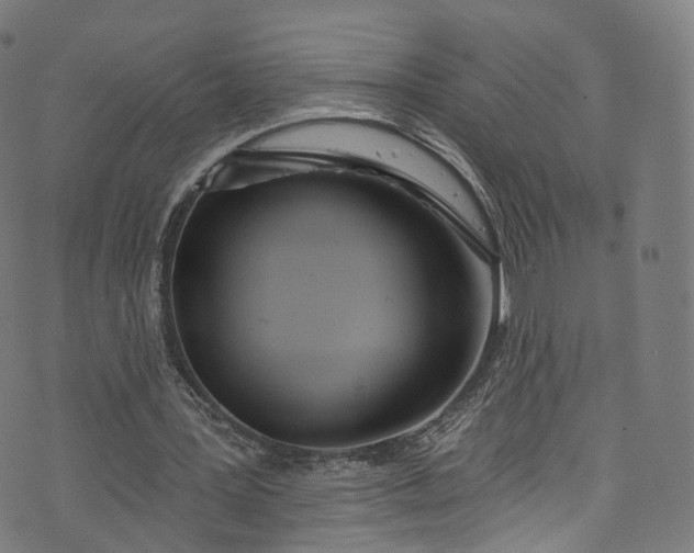 X0000073730387200608171234