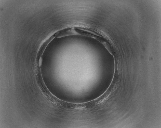 X0000073730388200608171234