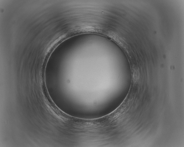 X0000073730390200608171234