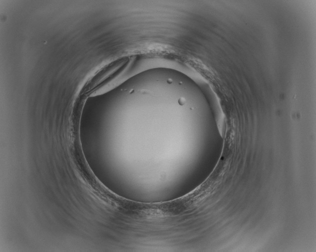 X0000073730392200608171234