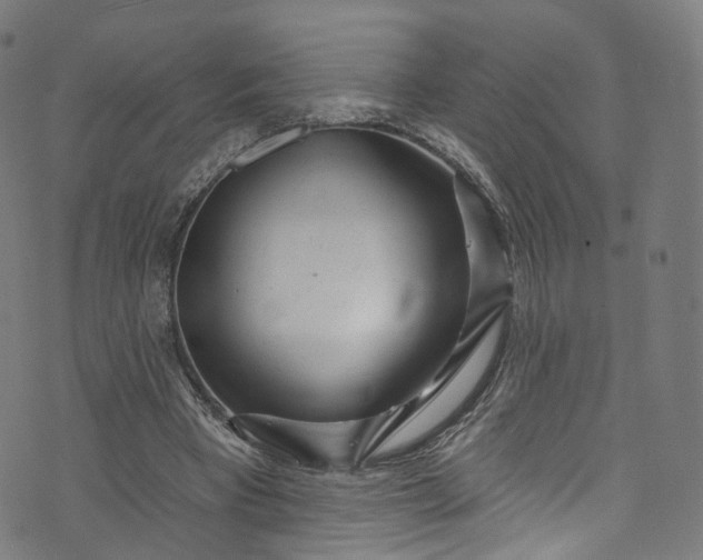 X0000073730393200608171234